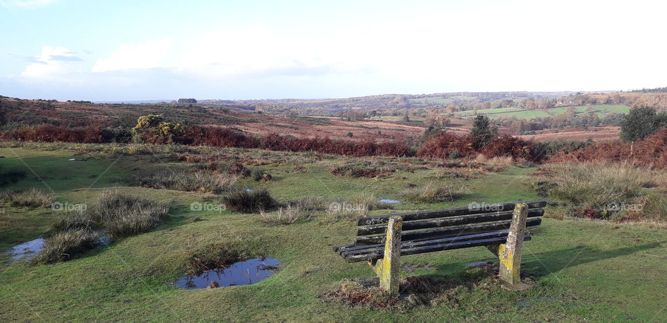 A solitary bench overlooking Ashdown Forest in November