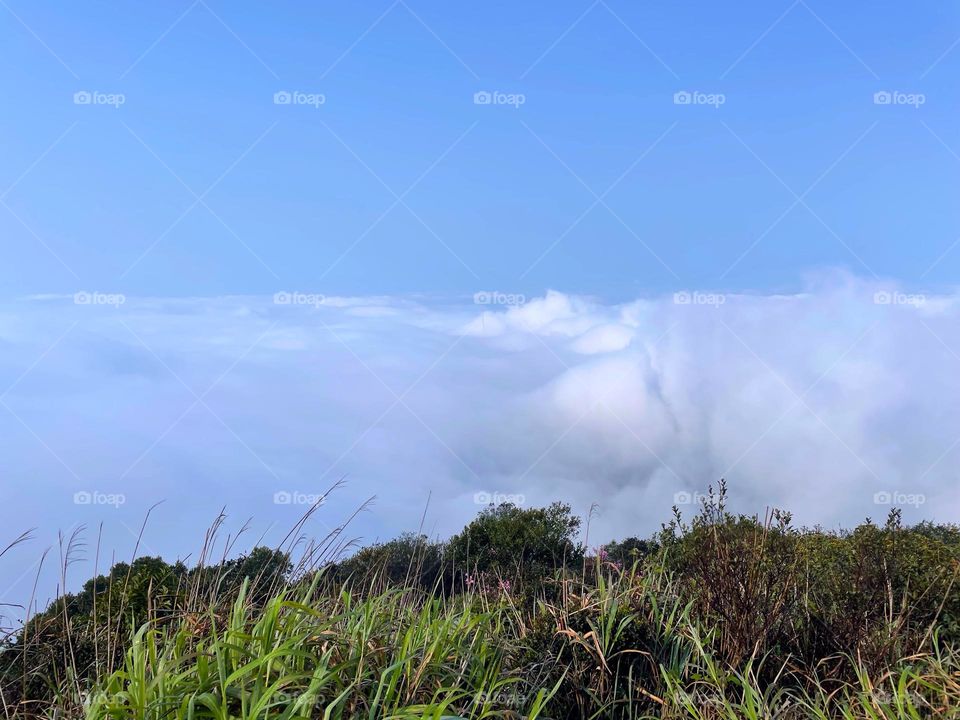 blue sky and white clouds