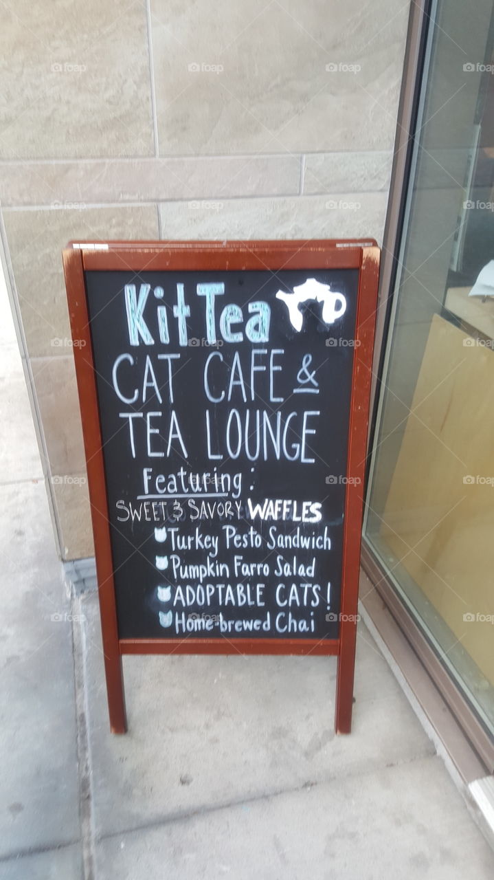 Cat cafe sign