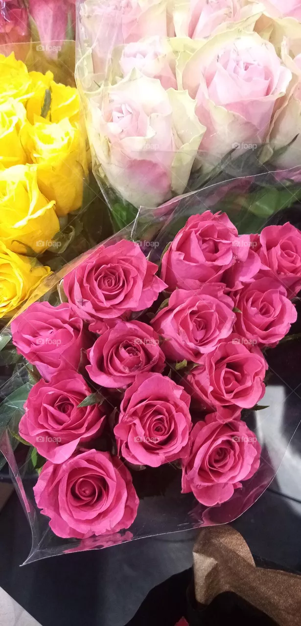 Blumen