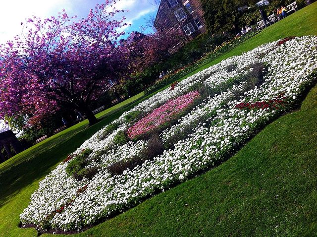 Valley gardens