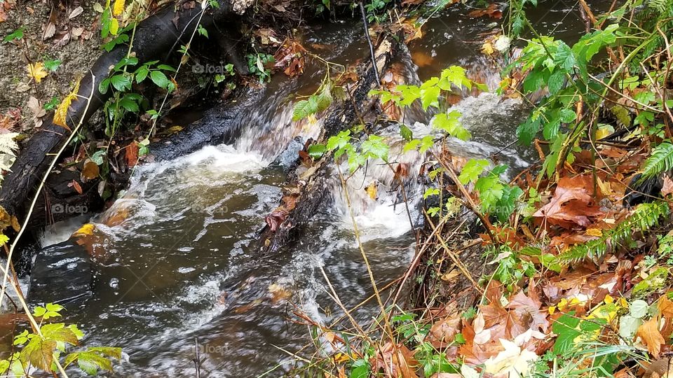 more tiny rapids