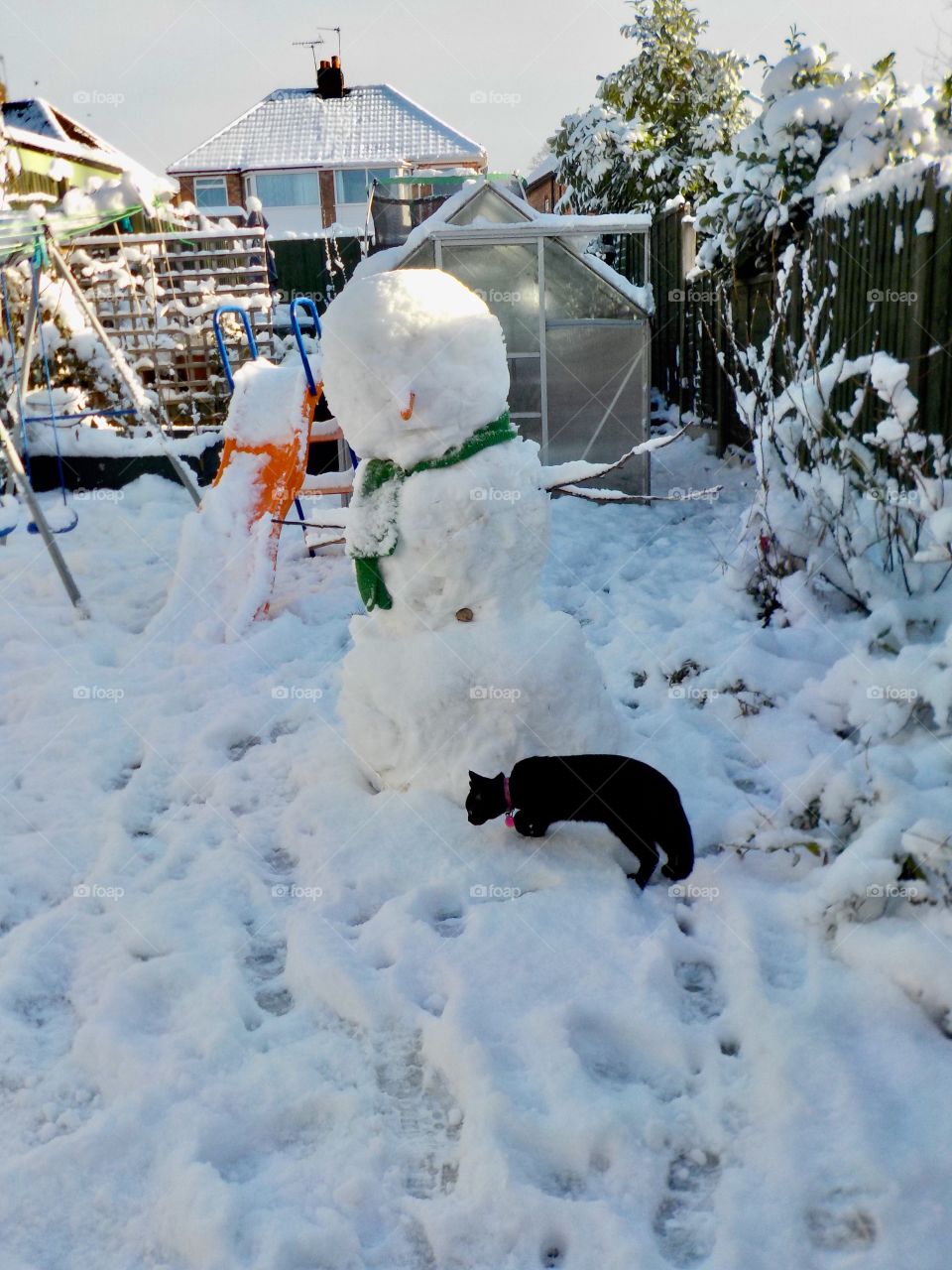 Kitty and snowman ⛄️