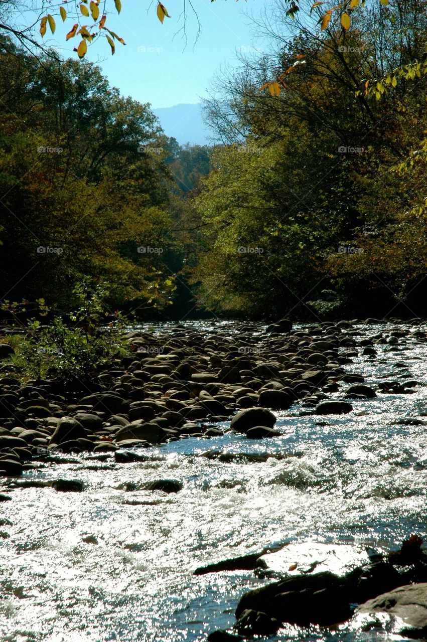 Tennessee River