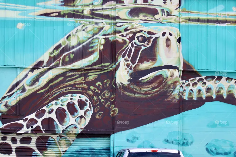 Honu