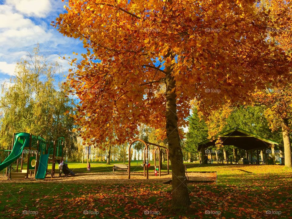 Autumn Park  Playground