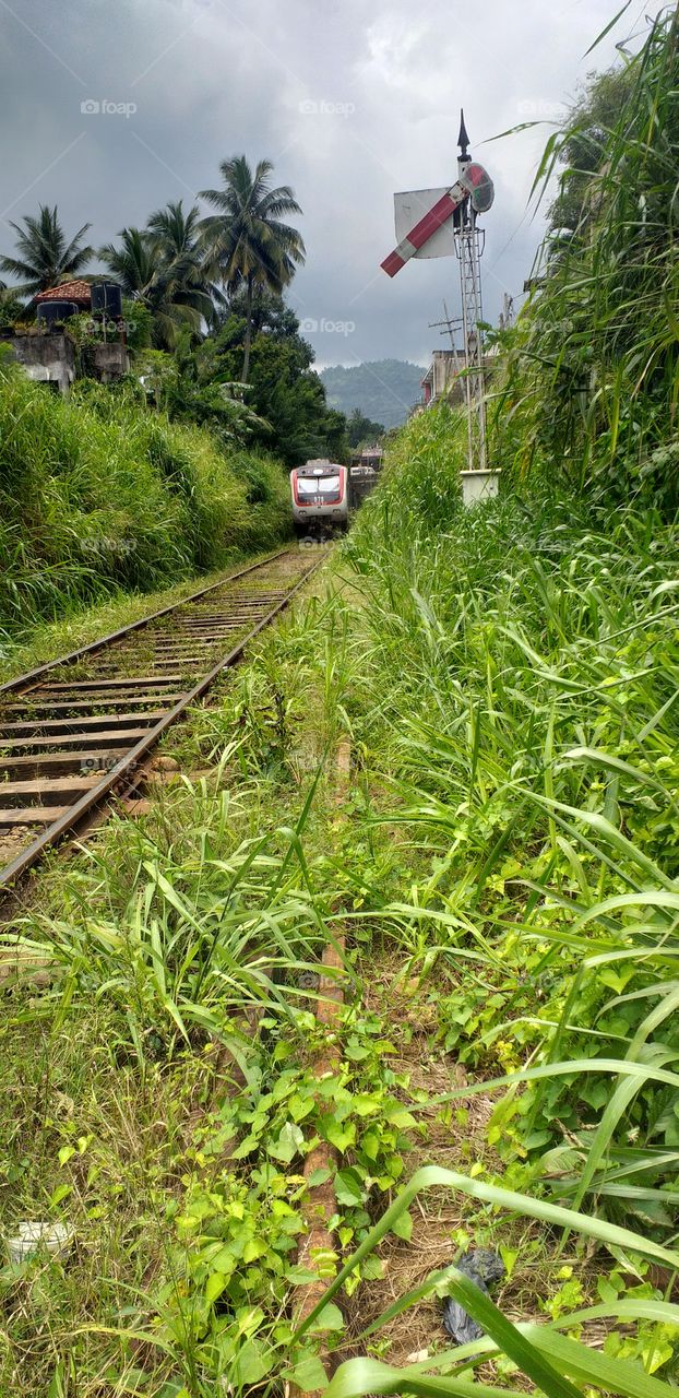 amazing railway track with train