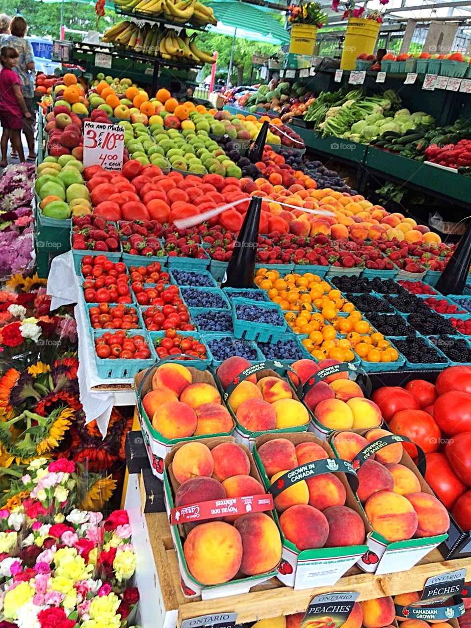 Vegetables and fruits
