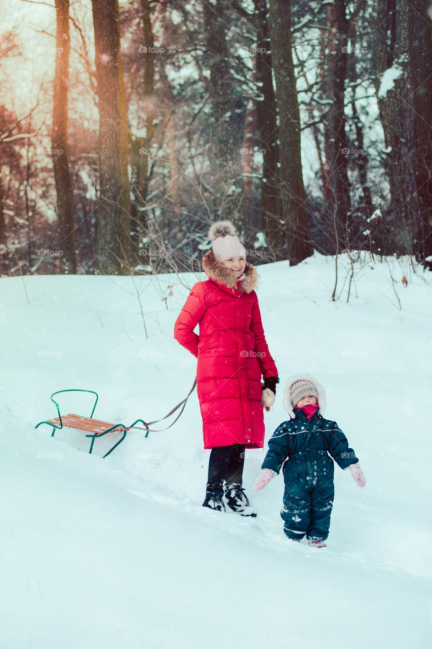 Mother and her little daughter are spending time together walking outdoors in forest in winter while snow falling. Woman is pulling sled, a few years old girl is walking through the deep snow, enjoying wintertime