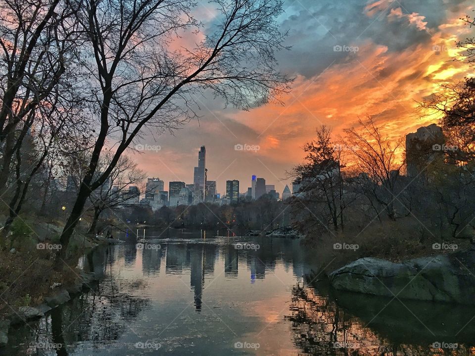 Skyline seen through the central park, New York