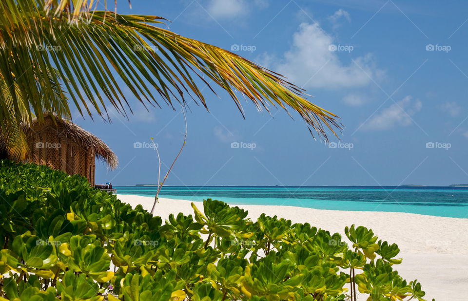 View of beach at Maldives