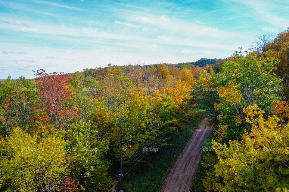 Fall foliage . Aerial view of the trees gaining color as a result of fall season