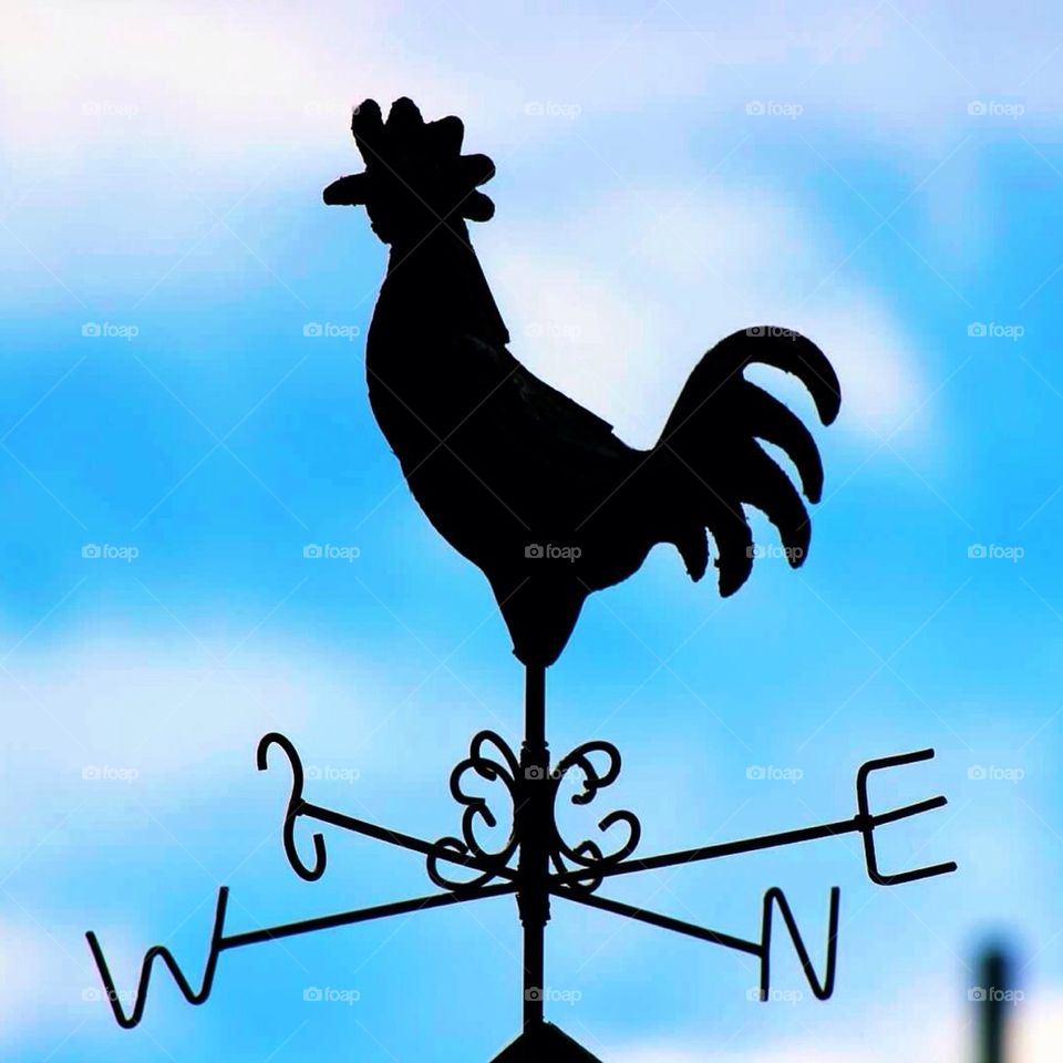 Weathervane Rooster