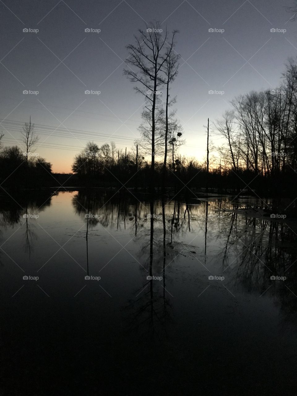 Swamp Sunrise