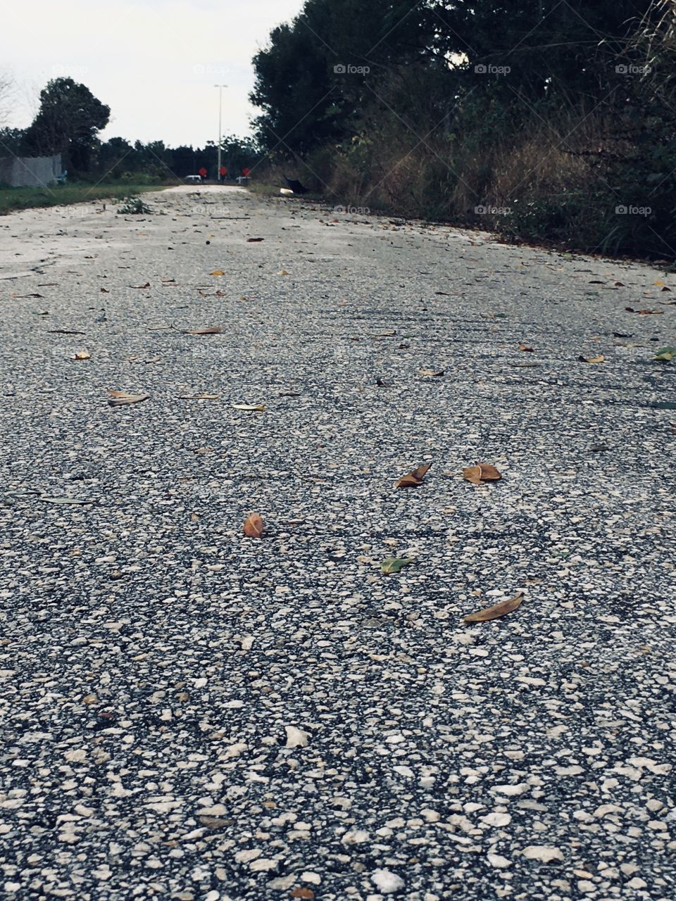 Abandoned road by the highway 
