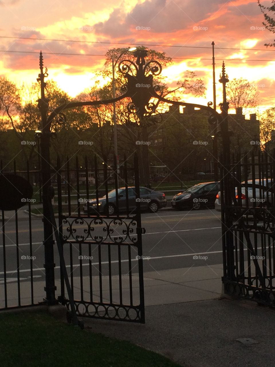 Harvard wrought iron gate at sunset