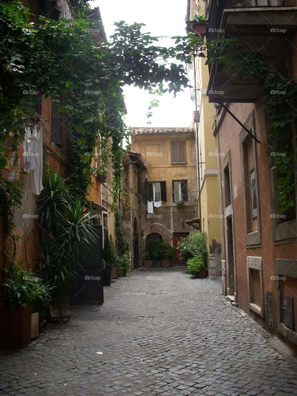trastevere