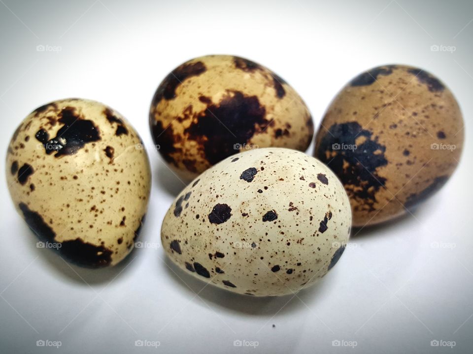 Quail eggs
