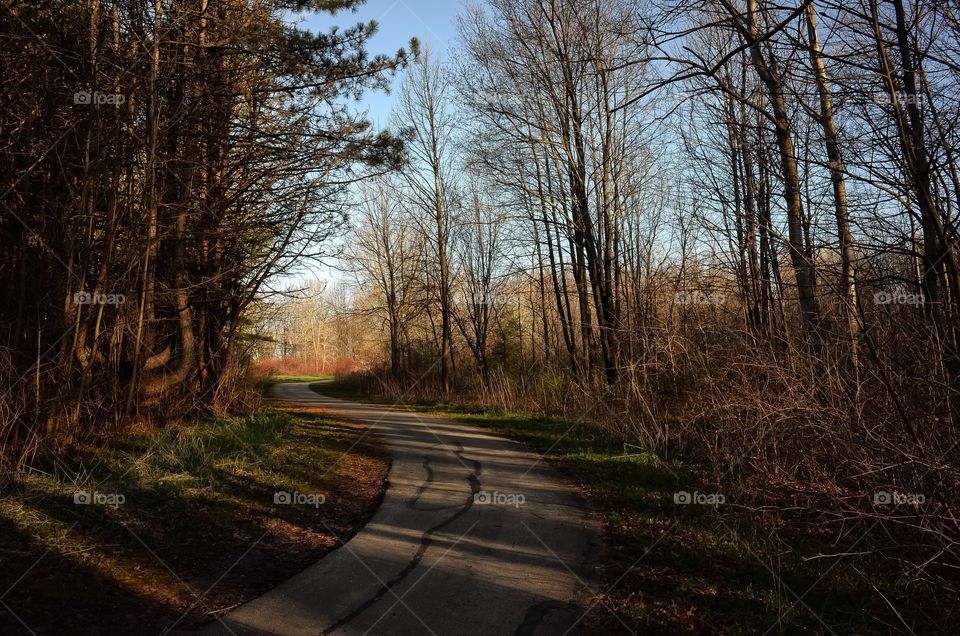 Empty road between bare trees