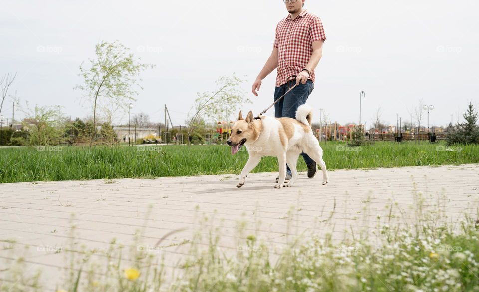 man and dog walking