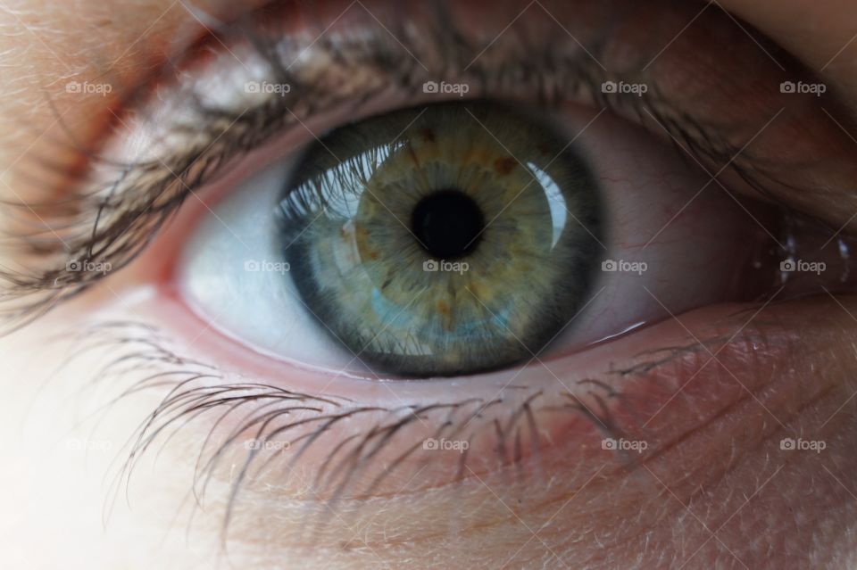 Details of human eye