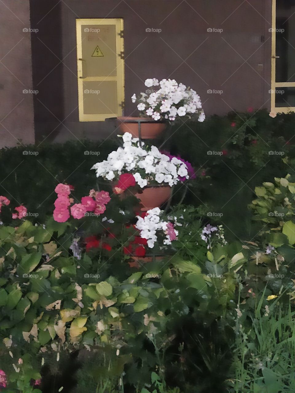 O Allah, You are free from all guilt. All health and thanks are from You. Glory be to You, O God of Glory and Power.
In general, every time the Ayatollah recites the Qur'an after the prayer, and the tasbeeh is recited, the reward is great