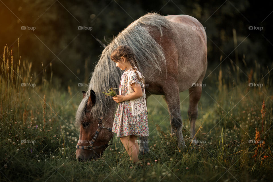 Little girl with horse at summer evening 