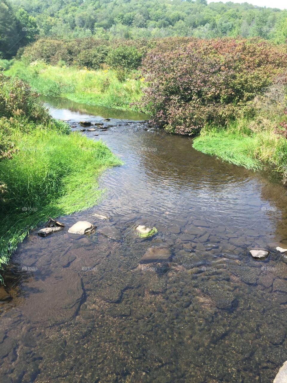 Small stream