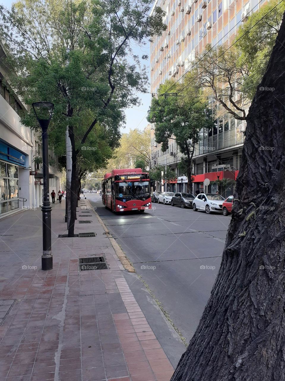 colectivo en calle de ciudad