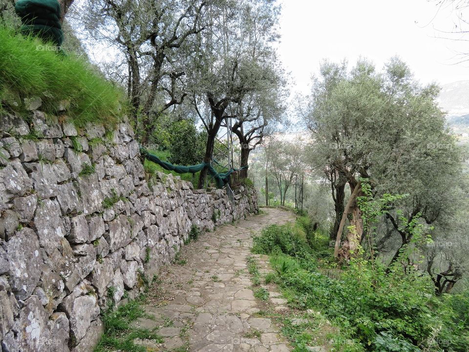 Hiking path near Sorrento