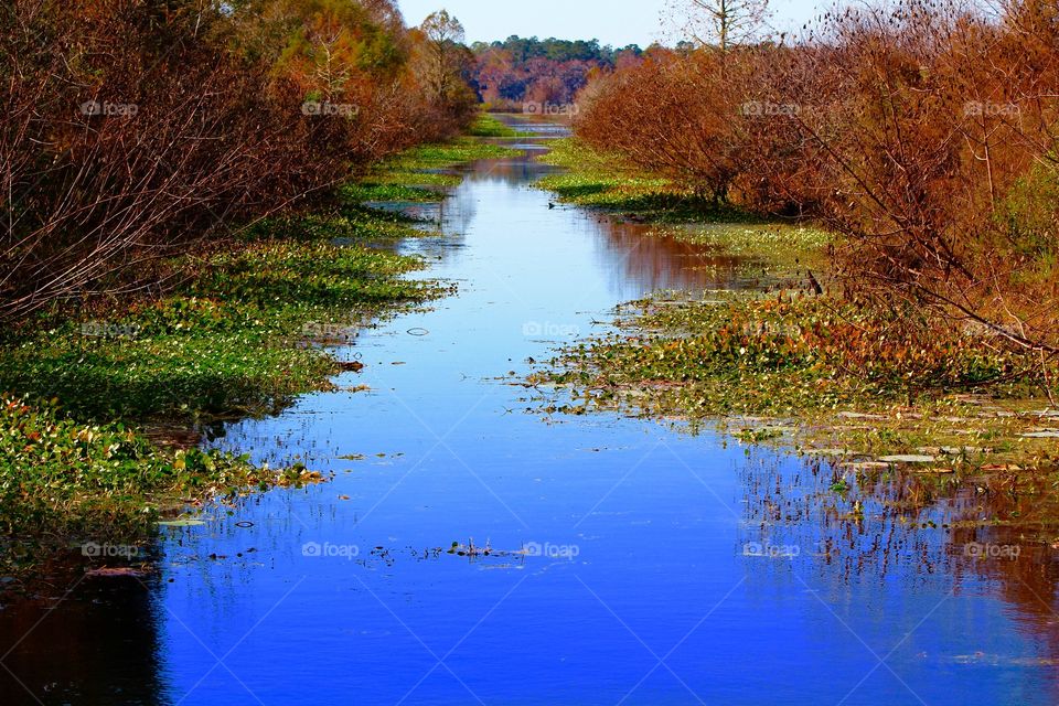 Reflections on a canal