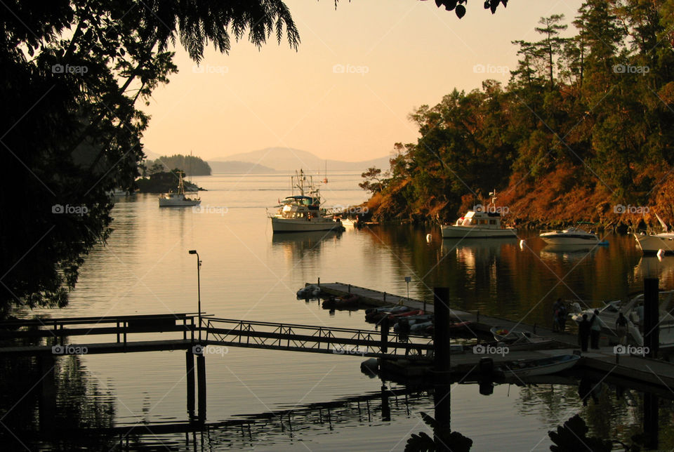 Harbour at sunset in landscape park