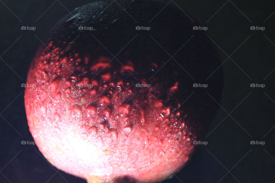 A still-life of a wet, red pomegranate lit from the side to show the droplets of water. 