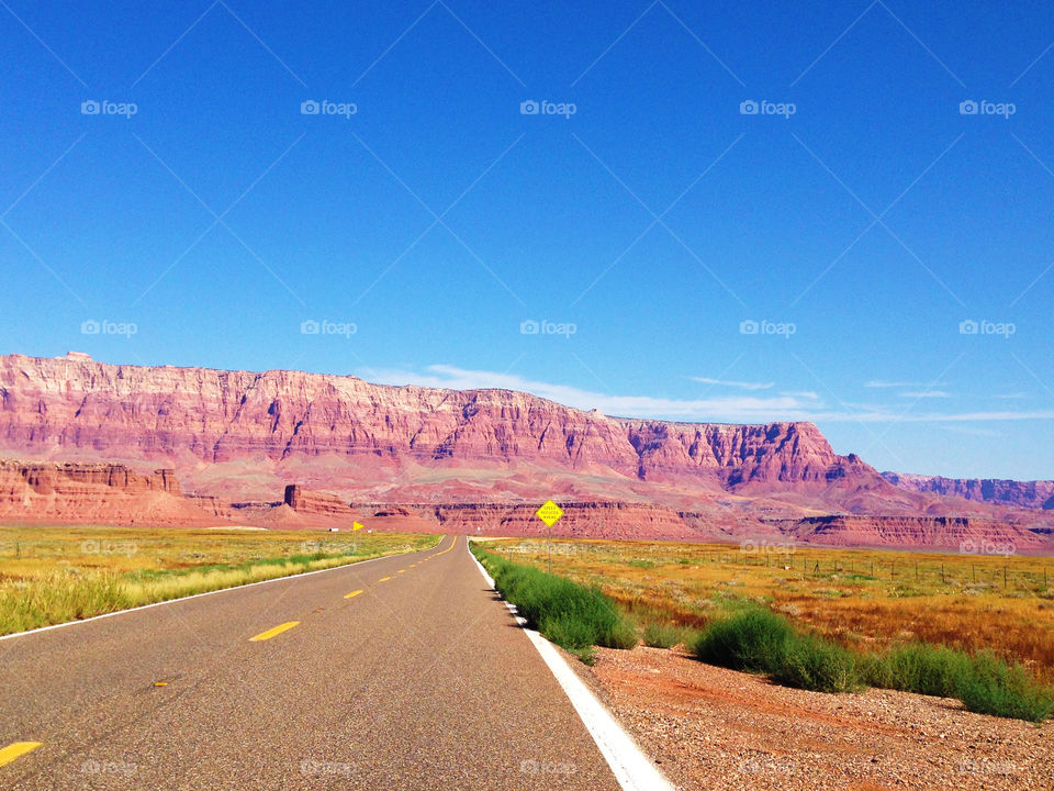 Road in the desert of The Arizona.United states