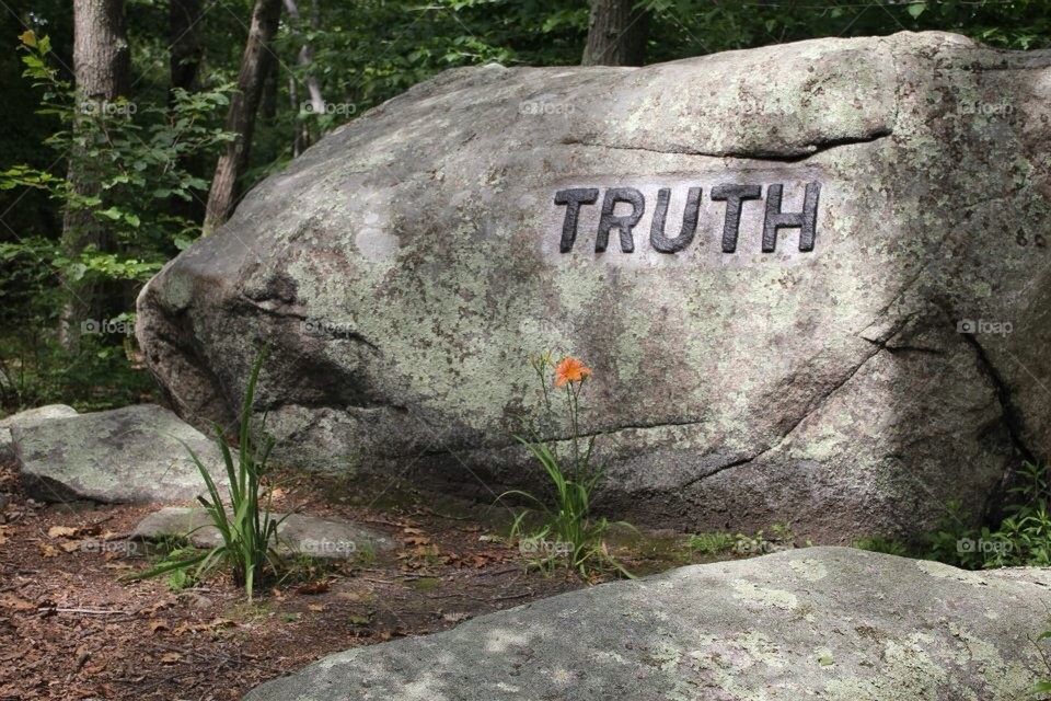 Boulder at Dogtown