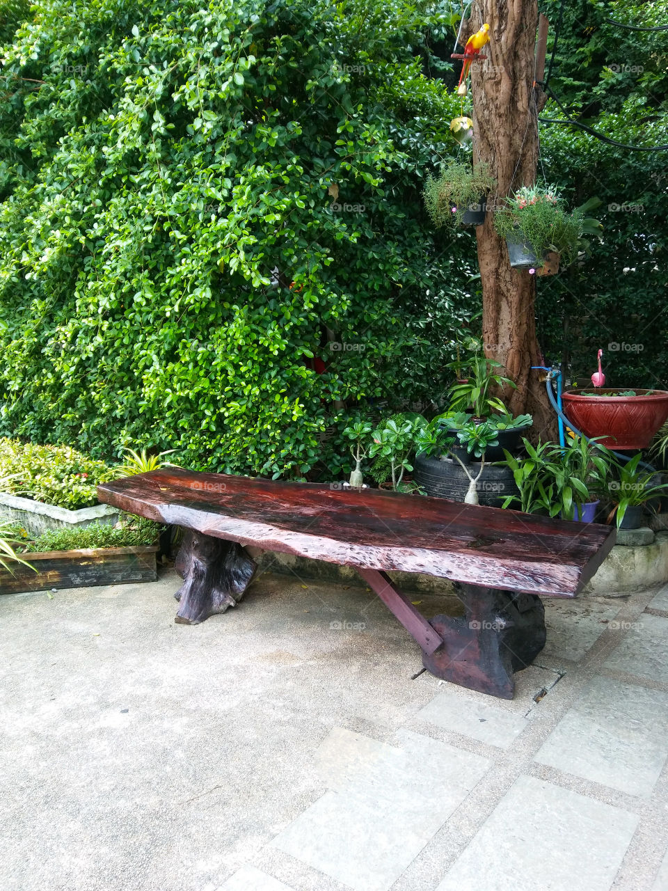 Relaxing corner beside pathway.