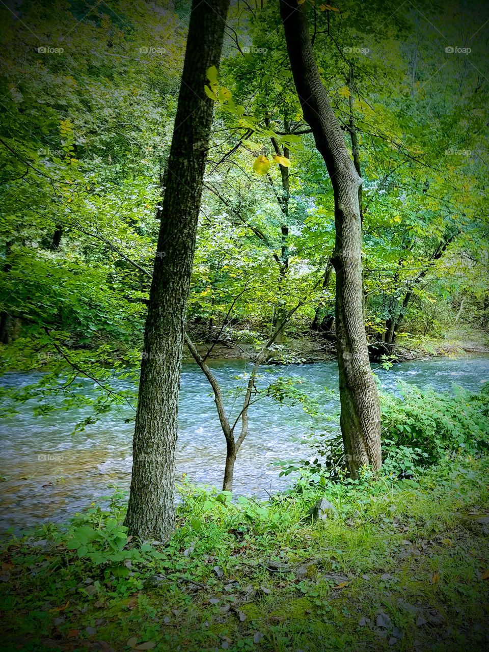 best photo in nature