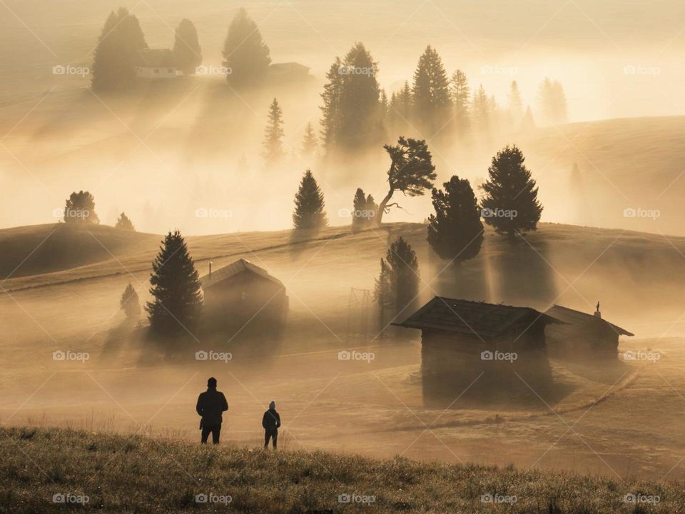 so beutiful image of the nature