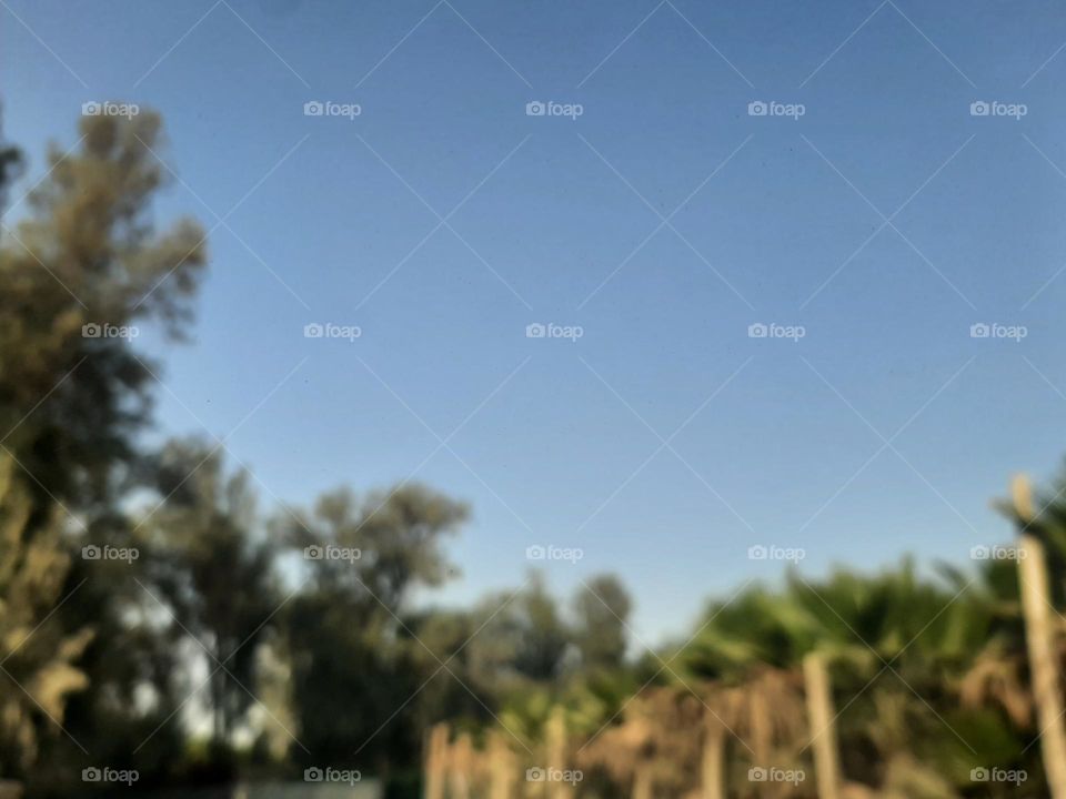 Please make me happy, I am poor, I need your help with support