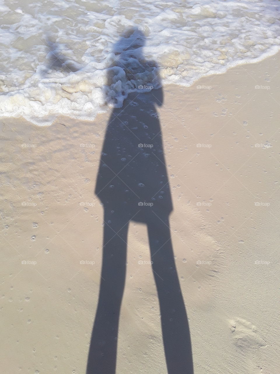 amazing moment shadow of a girl on the coast of the atlantic ocean and a flying bird