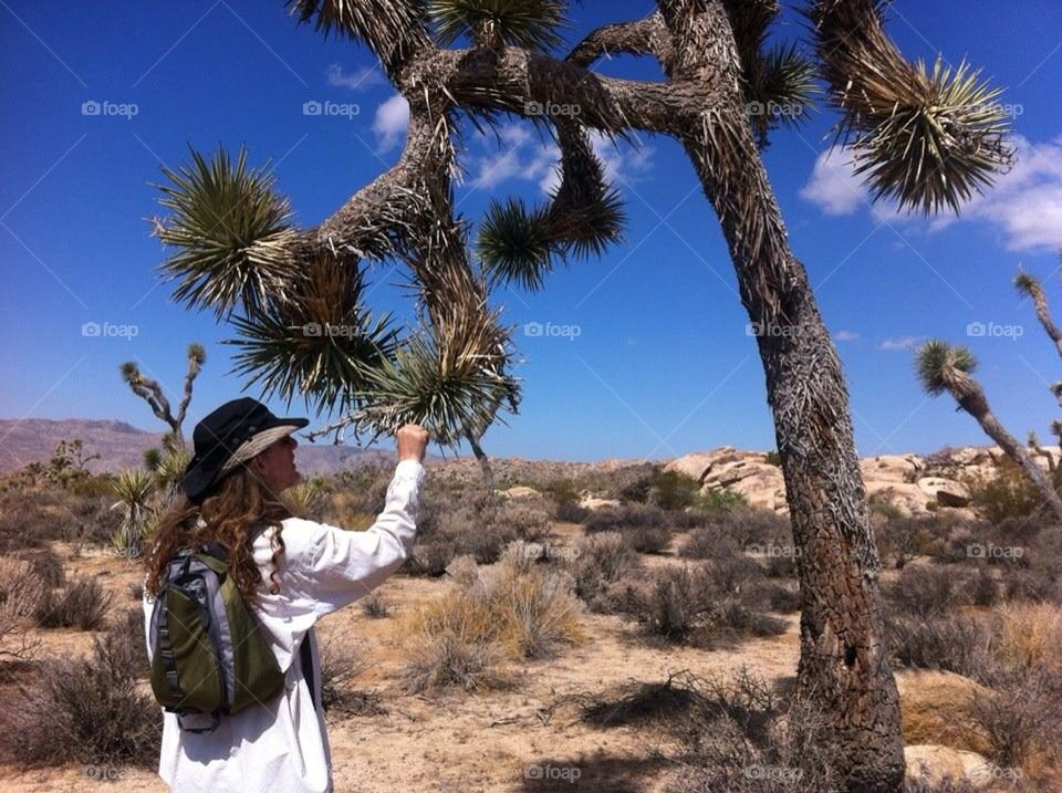 Joshua Tree