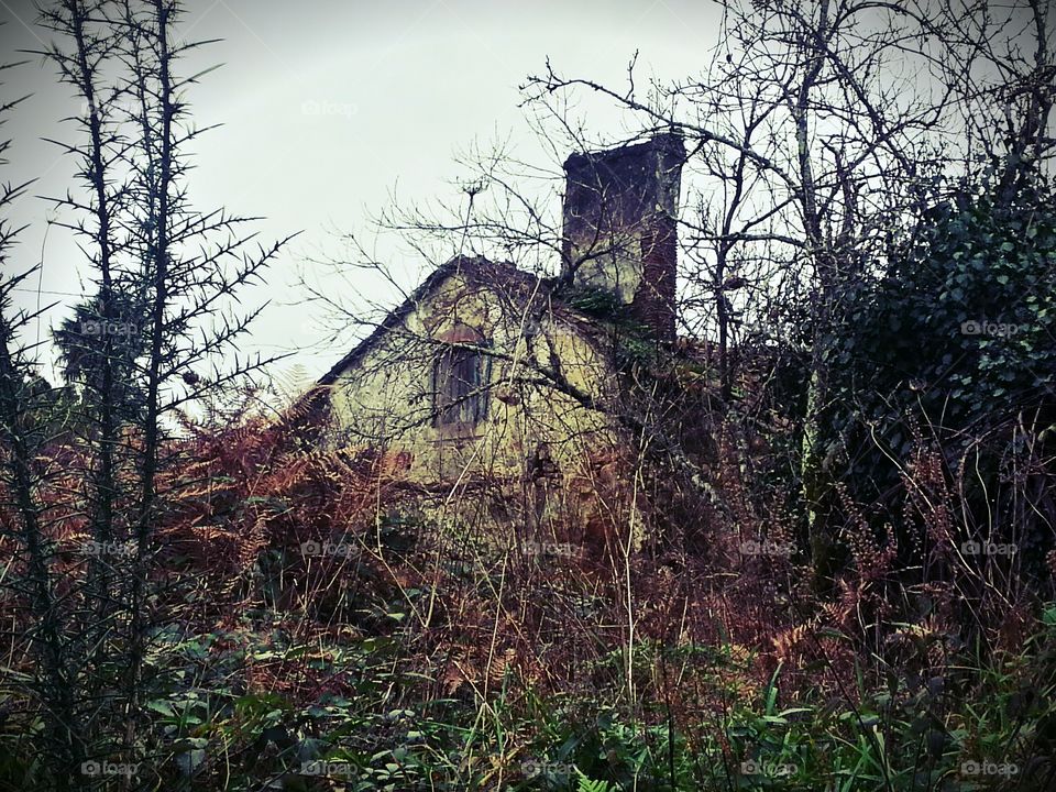 Abandoned Farmhouse. Old abandoned farmhouse in Teo, Galicia