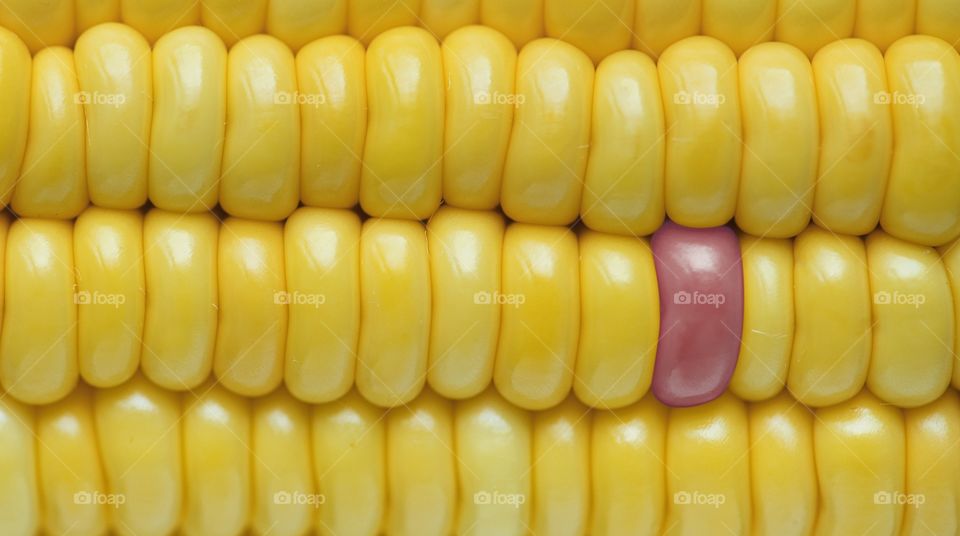corn
