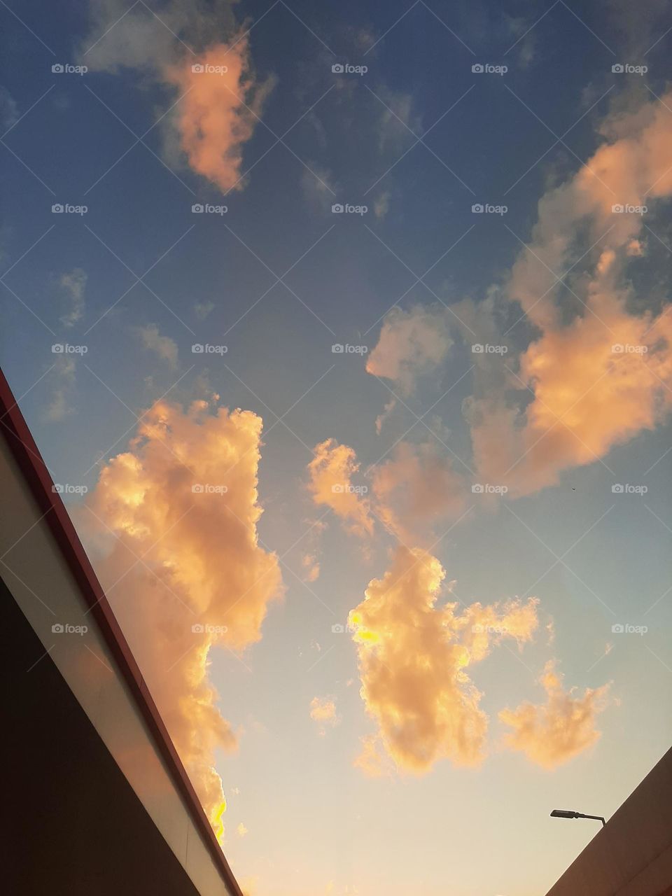 Please help me, I am very poor, I need your support