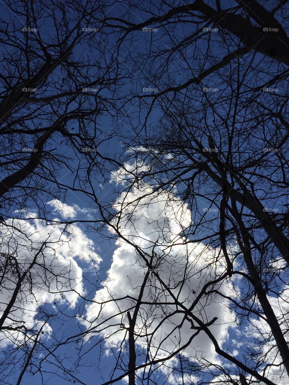 Spring at its finest! Blue skies in Michigan 