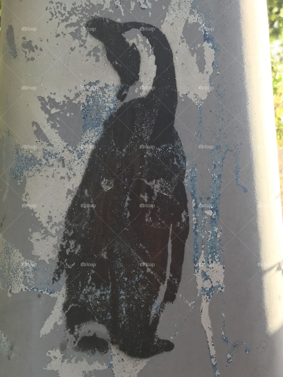 Someone’s artwork on a telephone pole. Remember the ice caps. Let’s do our part to slow Global Warming. 