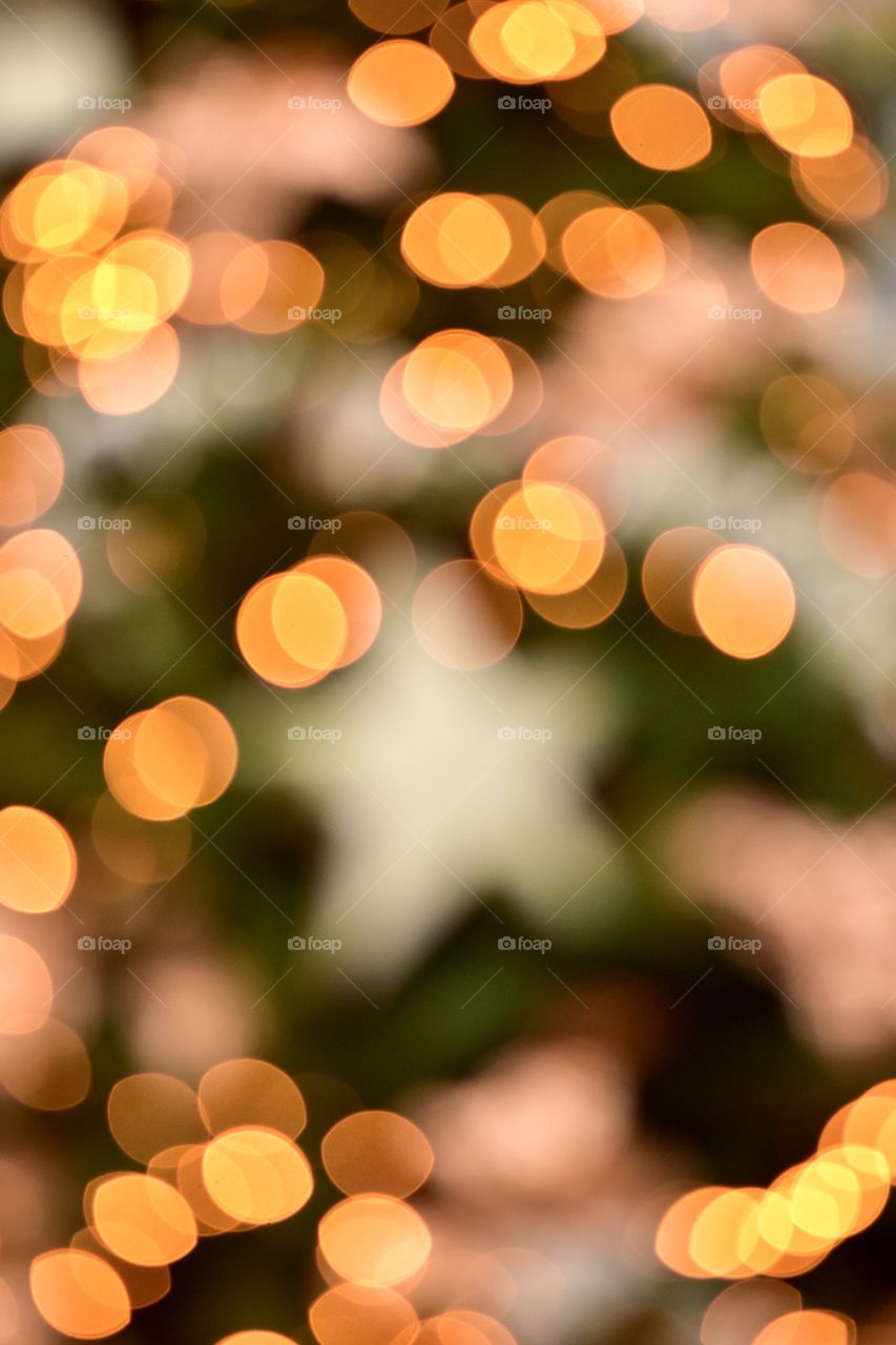 Lights of a christmas tree