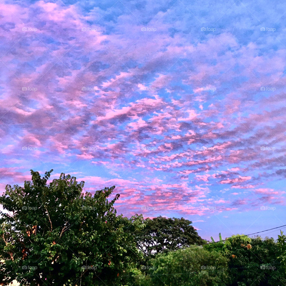 06h15 - Desperte, Jundiaí, com seu céu róseo-anil.
Que a Terça-Feira possa valer a pena!

06:15 - Wake up, Jundiaí (Brazil), with its pink-indigo sky.
May Tuesday be worth it!