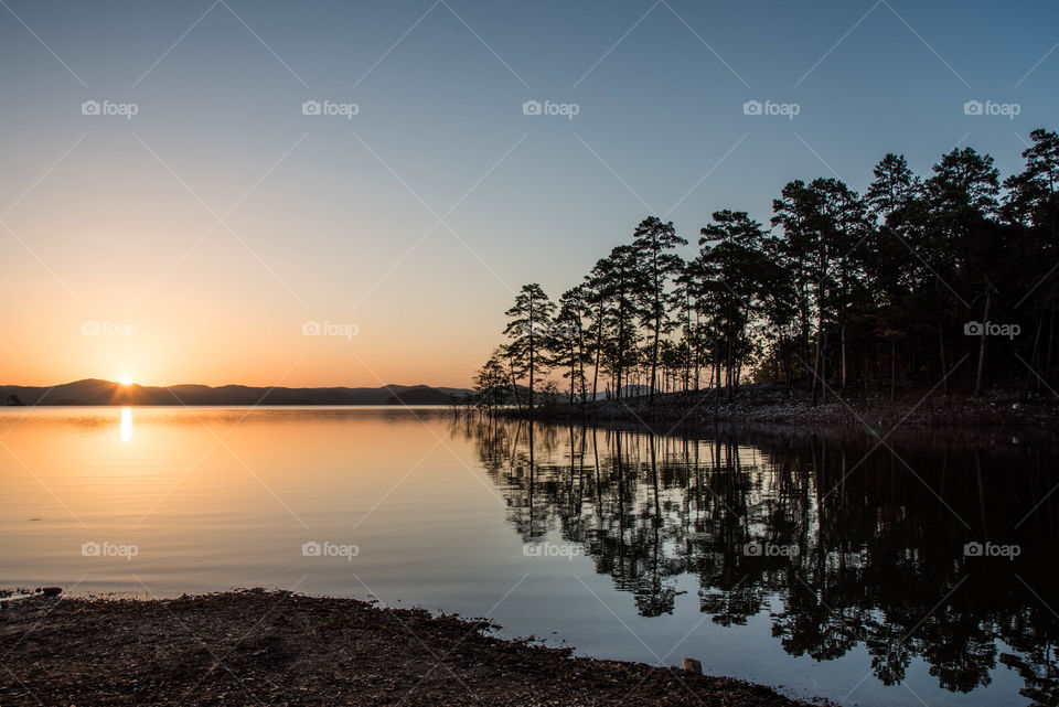 Trees reflecting on the lake