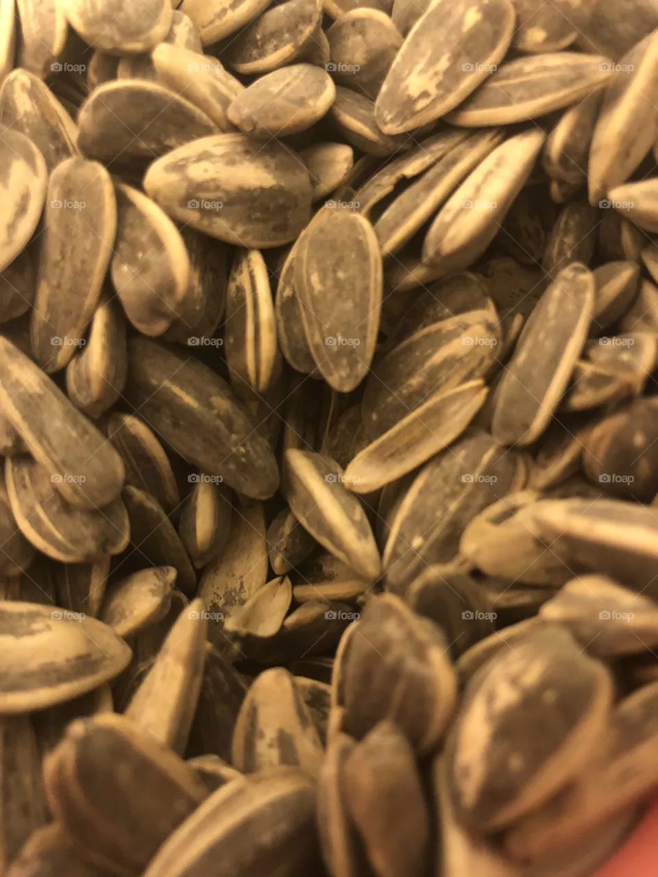 Sunflower s seed s 